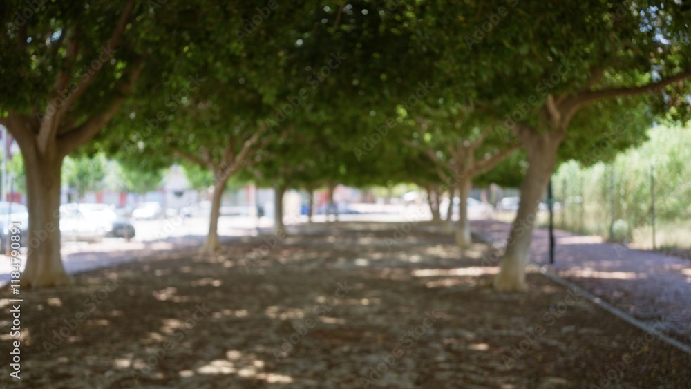 Obraz premium Blurred view of an outdoor park pathway with defocused trees and foliage under bright sunlight creating a bokeh effect