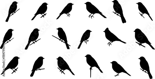 Vector Set of Birds silhouettes collection