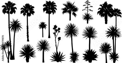 Vector set of Southern plants and trees. Silhouette vector set
