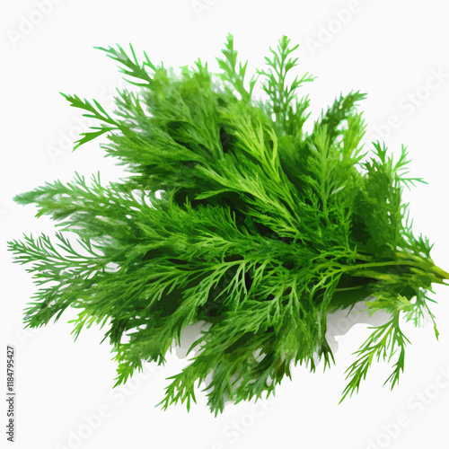Bunch fresh green dill on a white background. Greens vector illustration (2)