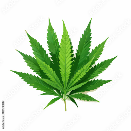 Green cannabis leaf isolated  white background vector illustration (3)
