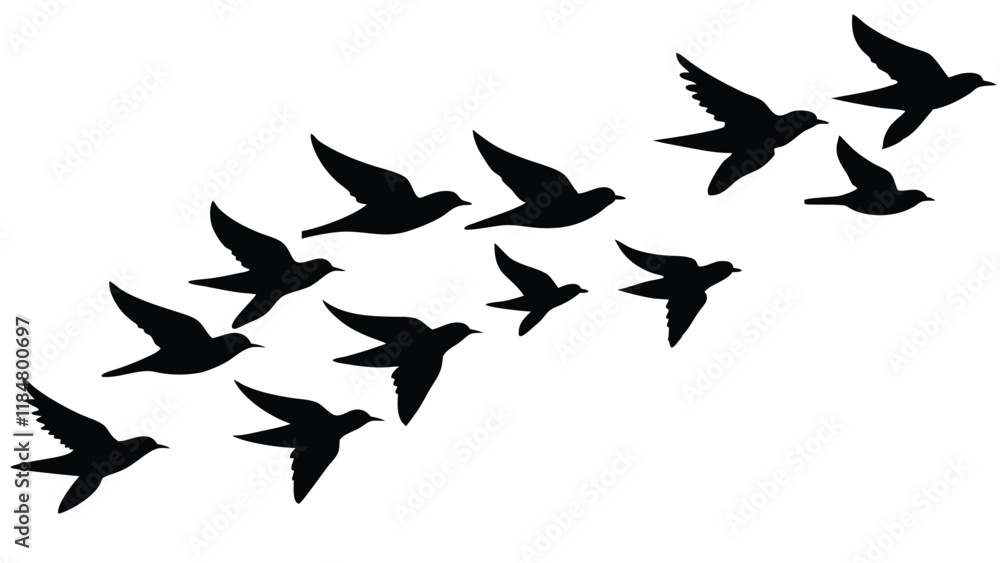 Flock of Birds in Formation Flock of Birds in Formation
