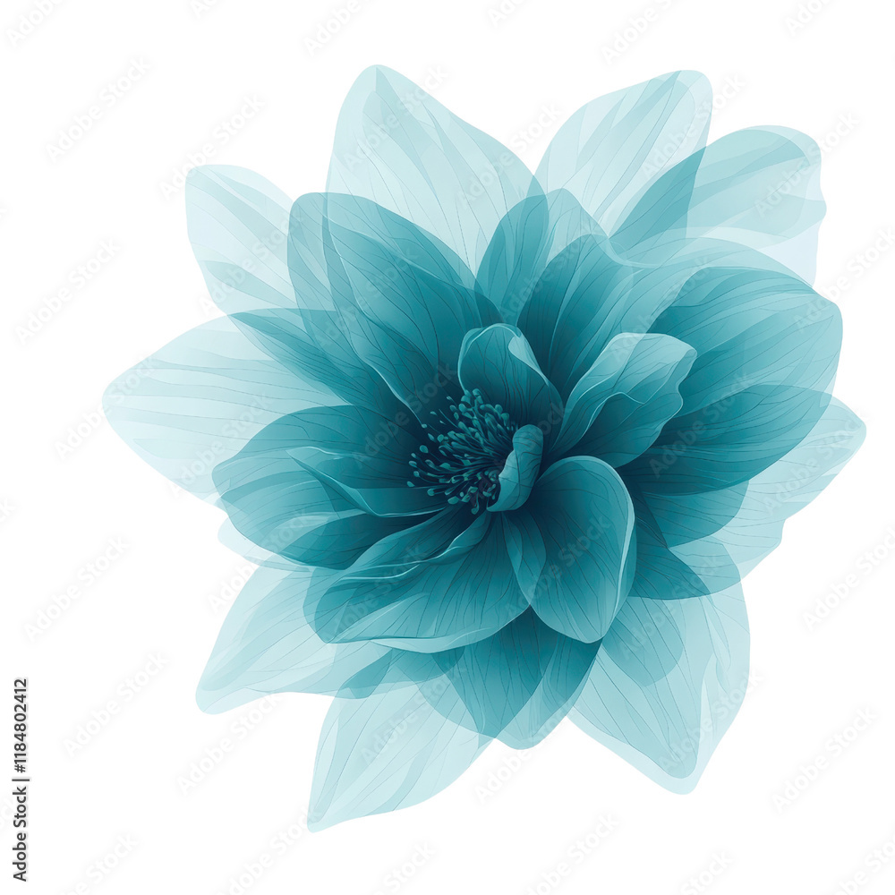 Obraz premium A beautiful, translucent blue flower with layered petals creates delicate and ethereal appearance, showcasing nature elegance and intricate design