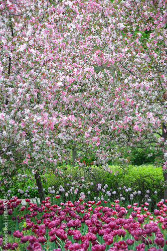Wallpaper Mural background of blooming trees and flowers Torontodigital.ca
