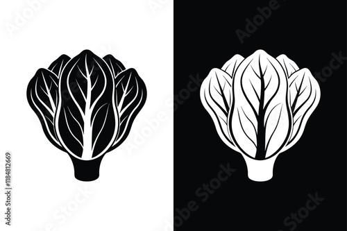 Bok choy icon vector on White Background ,Vector Art Illustration on white background.