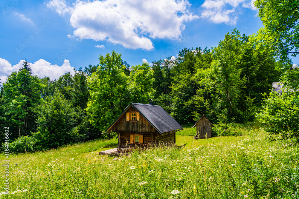 Small wooden hut in a meadow in the forest; outdoors landscape in nature with trees in the forest at Vogar, Bohinj Lake ares, Julian Alps, Slovenia Small wooden hut in a meadow in the forest; outdoors landscape in nature with trees in the forest at Vogar, Bohinj Lake ares, Julian Alps, Slovenia