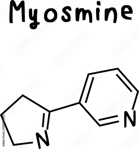 myosmine or chemical structure of myosmine isolate vector on transparency background