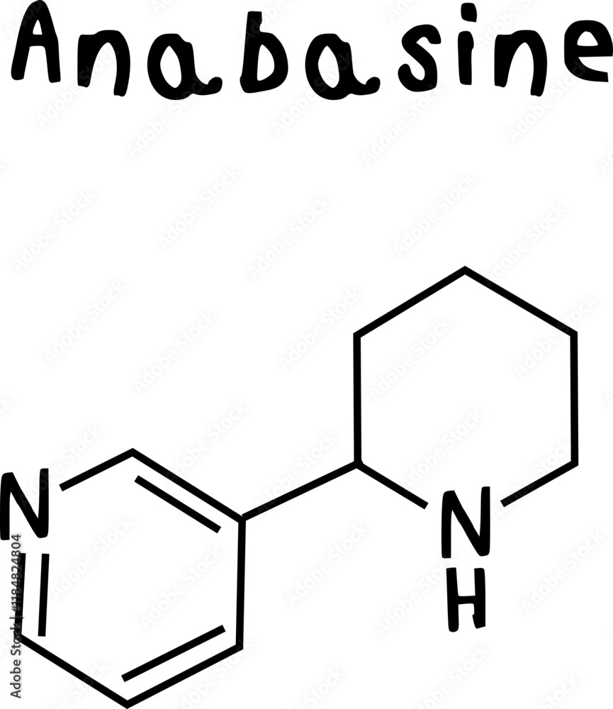 anabasine or chemical structure of anabasine isolate vector on transparency background anabasine or chemical structure of anabasine isolate vector on transparency background
