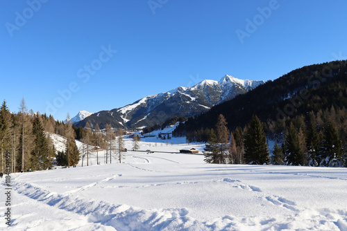 Wallpaper Mural Outdoor photography in winter seaons Torontodigital.ca