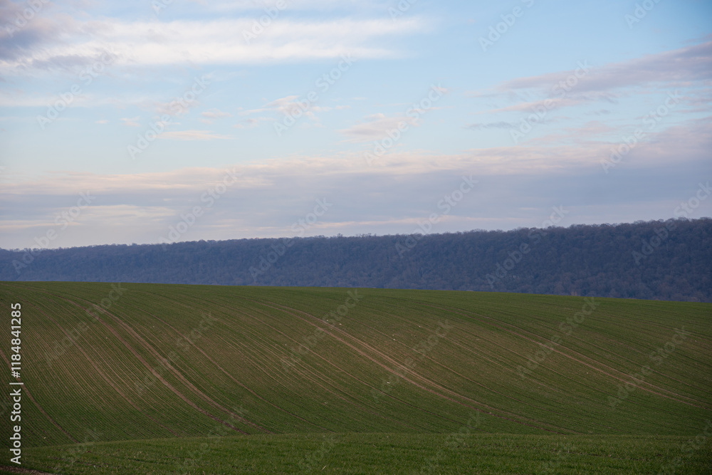 Fototapeta premium landscape of region country