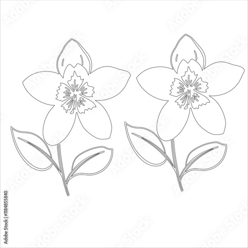 Simple outline drawing of a delphinium , perfect for coloring, crafting, and educational use