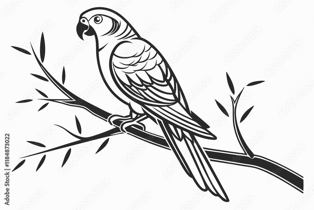 a silhouette Lovebird looking back, vector black and white a silhouette Lovebird looking back, vector black and white