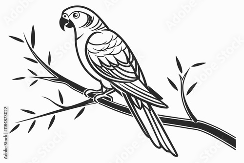 a  silhouette Lovebird looking back, vector black and white