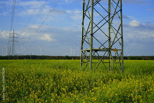 Freileitungsmast in einem Brandenburger  Rapsfeld  photo