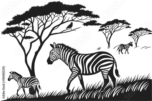 A black color line art (Zebra)silhouette vector on white background