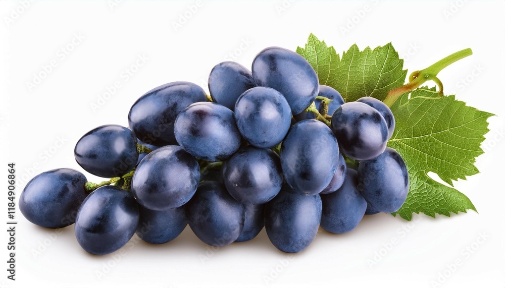 dark blue grape with leaves isolated on white background with clipping path full depth of field dark blue grape with leaves isolated on white background with clipping path full depth of field