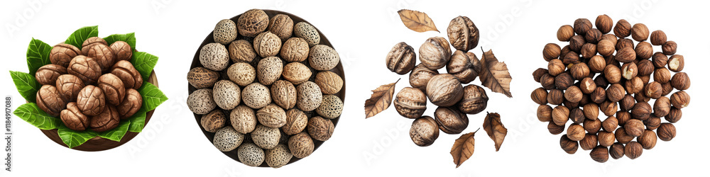 Captivating composition of harvested isolated on transparent background, Set of Captivating composition of harvested isolated on transparent background, Set of