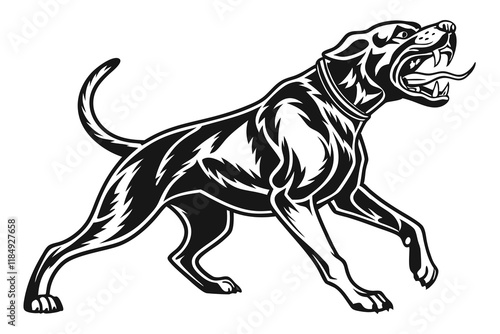  a fierce black and white fighting dog