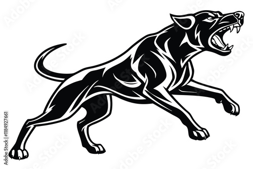  a fierce black and white fighting dog