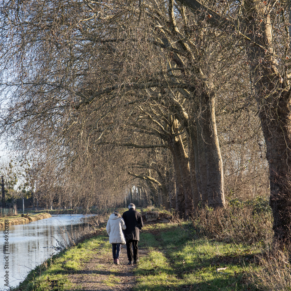 couple de personnes âgées amoureuses marchant bras dessus bras dessous le long d'un canal, retraités amoureux, lien, affection couple de personnes âgées amoureuses marchant bras dessus bras dessous le long d'un canal, retraités amoureux, lien, affection
