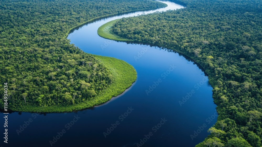 Fototapeta premium Aerial view of a meandering river flowing through lush green rainforest.