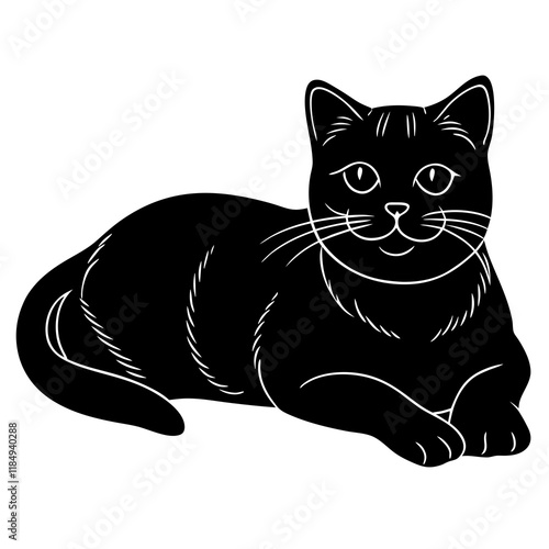 british shorthair cat black silhouette vector with white background, Pet animal silhouette