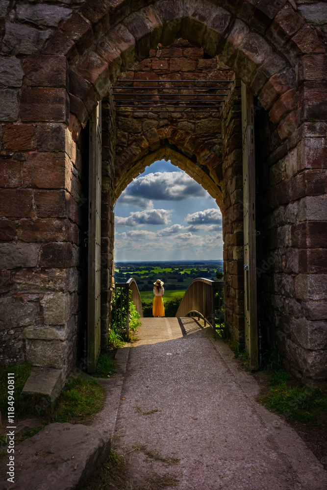 Obraz premium path to the castle