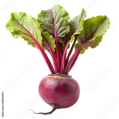 beet root with slick beetroot on transparent background