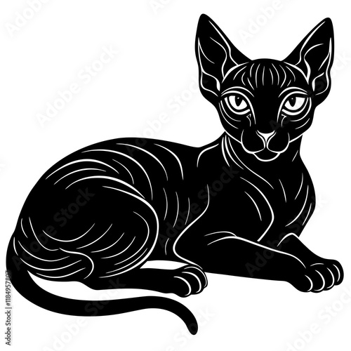 sphynx  cat black silhouette vector with white background, Pet animal silhouette