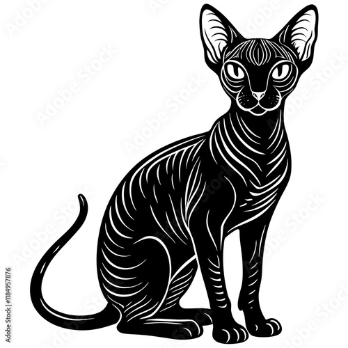 sphynx  cat black silhouette vector with white background, Pet animal silhouette