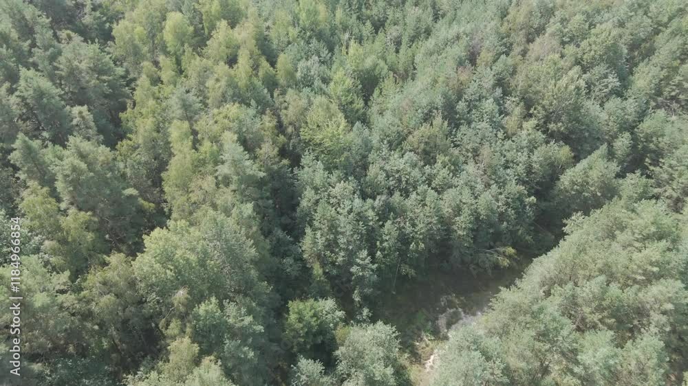 Aerial video over a forest in the area of Vrabce Czechia Aerial video over a forest in the area of Vrabce Czechia