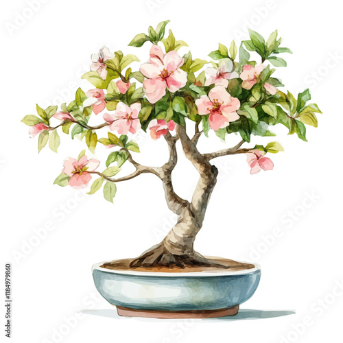 A watercolor painting of a Persian silk tree bonsai, isolated on a white background. Persian silk tree vector.
