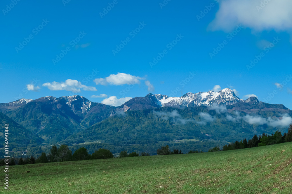 Fototapeta premium Lush green alpine pasture with scenic view of snow-capped mountain peaks of Karawanks seen from St Kathrein, Schiefling am See, Carinthia, Austria. Idyllic serene landscape in Austrian Alps in spring