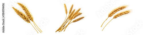 Wheat grain isolated on transparent background, Set of
