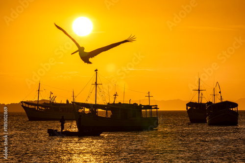 Landscape themes: Fishing boats in Juan Griego Bay at sunset. Margarita Island, Venezuela. photo