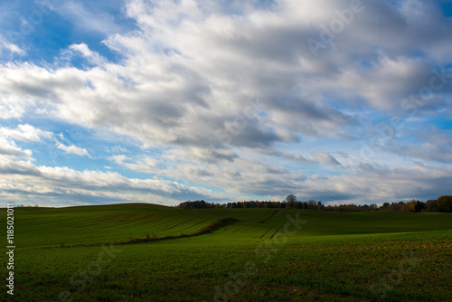 Fototapeta Naklejka Na Ścianę i Meble -  Pole jesienią 2024