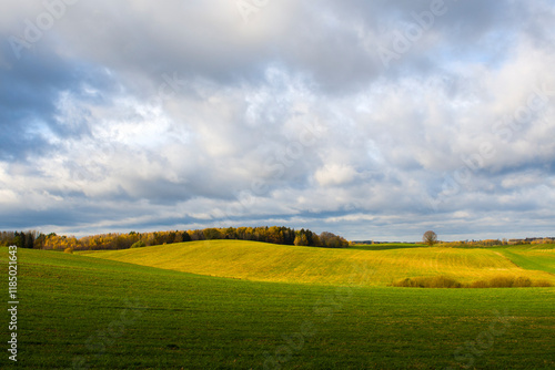 Fototapeta Naklejka Na Ścianę i Meble -  Jesienne pole na Warmii 2024
