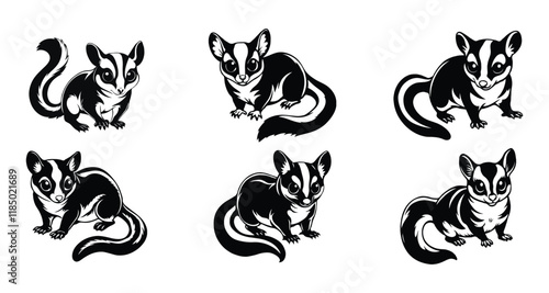 Sugar glider black and white silhouette vector illustration