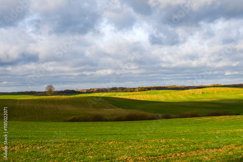 Fototapeta Naklejka Na Ścianę i Meble -  Piękne jesienne pole na Warmii 2024