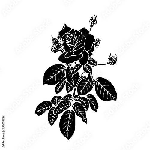 Botanical silhouette,rose flower stamp.Vector graphic.