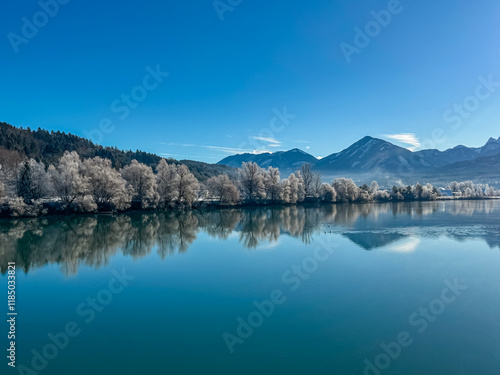 Two swans swimming on river Drava winding through Rosental valley surrounded by snow-capped mountains of Karawanks. Sankt Jakob im Rosental, Carinthia, Austria. Frozen winter landscape, Austrian Alps photo