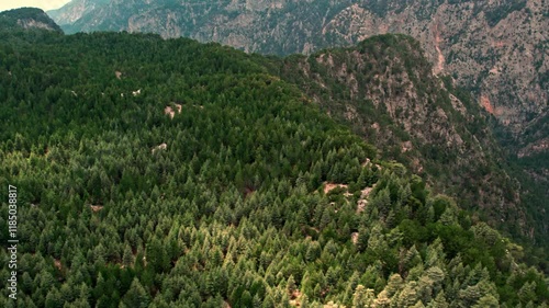 A view forest of trees covers a steep rocky hillside. The landscape transitions into a sprawling valley with patches of greenery, showcasing the natural terrain and diverse vegetation. photo