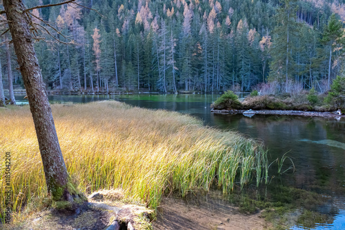 Serene alpine lake Kreuzteich in lush forest in Tragoess, Hochschwab Alps, Styria, Austria. Crystal-clear water reflects surrounding trees creating mirror-like effect. Vibrant green reeds lining shore photo