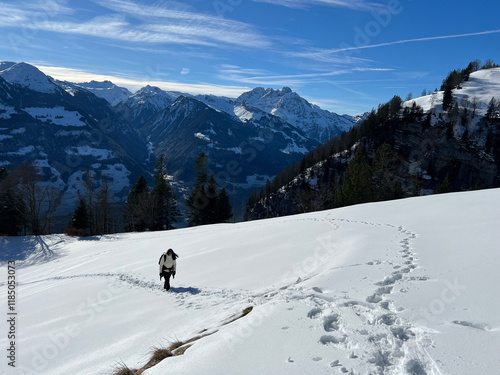 Wonderful winter hiking trails and traces over the Lake Walen or Lake Walenstadt (Walensee) and in the fresh alpine snow cover of the Swiss Alps, Walenstadtberg - Canton of St. Gallen, Switzerland photo