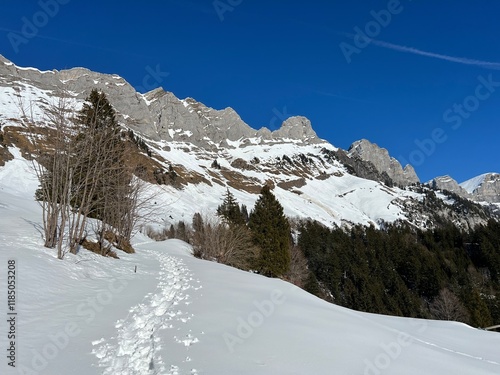 Wonderful winter hiking trails and traces over the Lake Walen or Lake Walenstadt (Walensee) and in the fresh alpine snow cover of the Swiss Alps, Walenstadtberg - Canton of St. Gallen, Switzerland photo