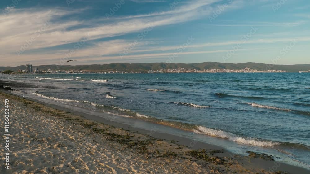 White sea gull flying and circling, sandy beach of the seashore near the sea waves White sea gull flying and circling, sandy beach of the seashore near the sea waves