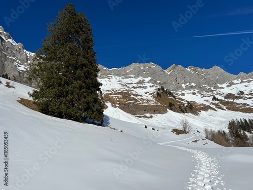 Wonderful winter hiking trails and traces over the Lake Walen or Lake Walenstadt (Walensee) and in the fresh alpine snow cover of the Swiss Alps, Walenstadtberg - Canton of St. Gallen, Switzerland photo