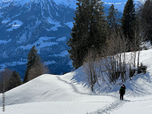 Wonderful winter hiking trails and traces over the Lake Walen or Lake Walenstadt (Walensee) and in the fresh alpine snow cover of the Swiss Alps, Walenstadtberg - Canton of St. Gallen, Switzerland photo