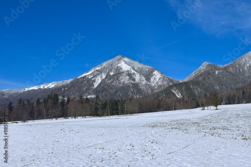 View of Tolsti vrh mountain and a snow covered field bellow in Gorenjska, Slovenia photo