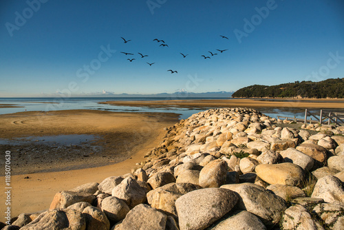 NZ's largest nation Park, Able  Tasman in the Nelson Region photo